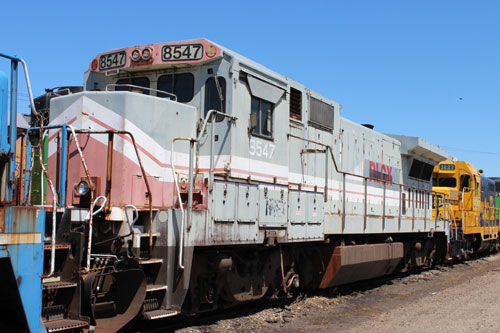 nrm 210118_yoshimurar11_B_04_STB.jpg